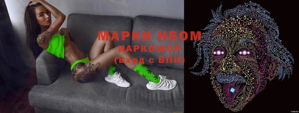 индика Козельск