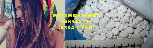 индика Козельск