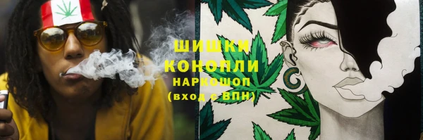 индика Козельск