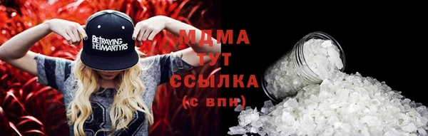 индика Козельск