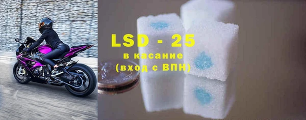 индика Козельск