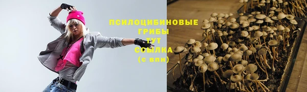 индика Козельск