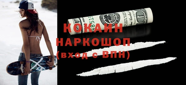 PSILOCYBIN Козловка