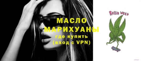 индика Козельск