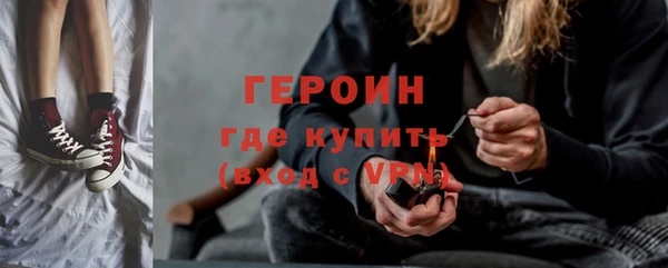 индика Козельск
