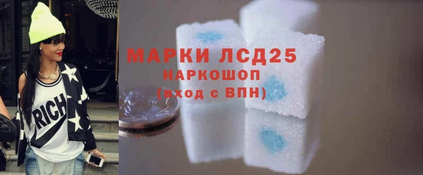 индика Козельск