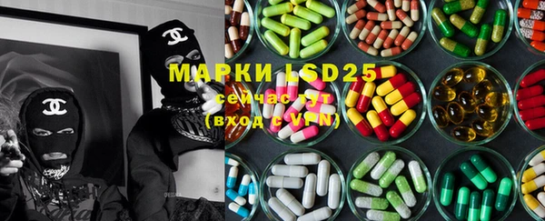 PSILOCYBIN Козловка
