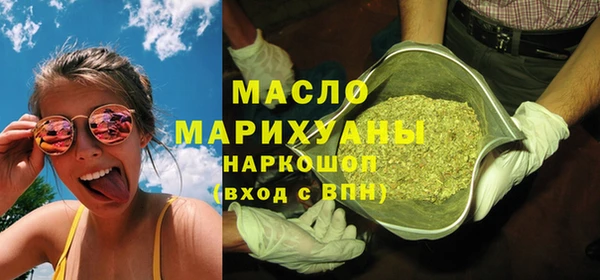 индика Козельск