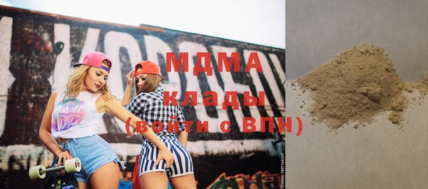 индика Козельск