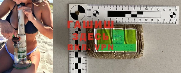 индика Козельск