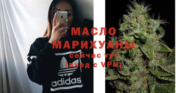 индика Козельск