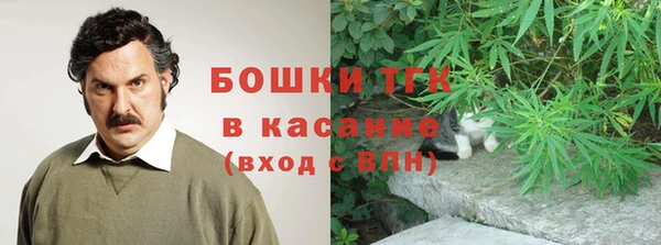 PSILOCYBIN Козловка