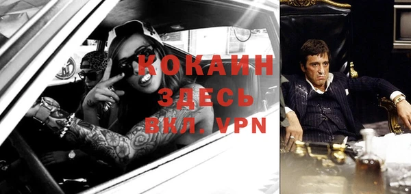 сатива Киреевск