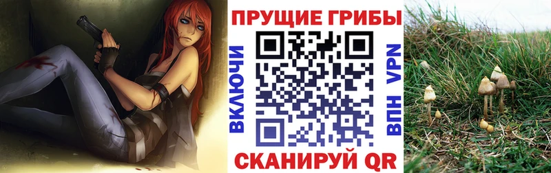 Псилоцибиновые грибы Cubensis  Киренск 
